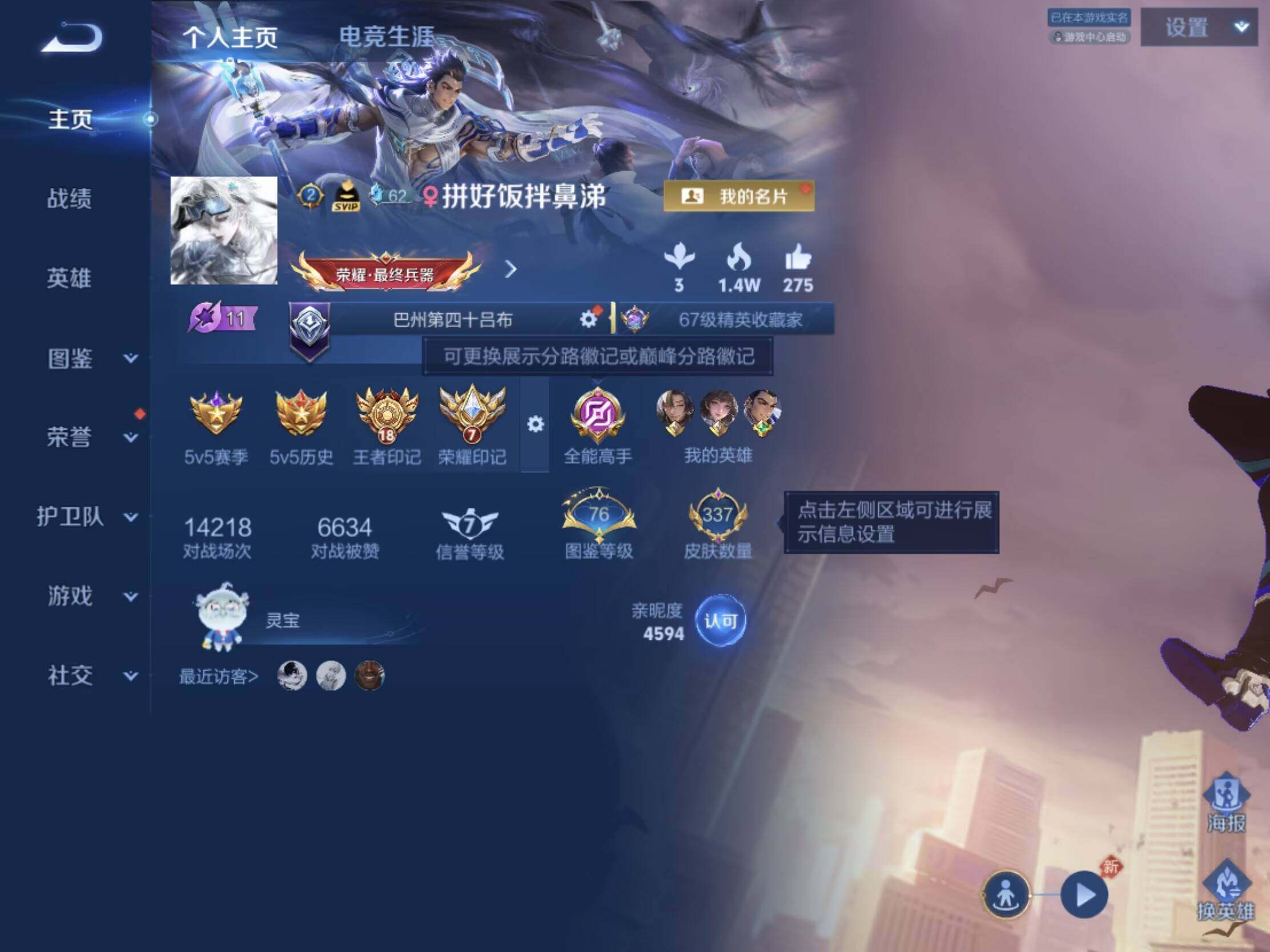 WZJM4536325王者荣耀账号详情图12 WZJM4536325王者荣耀账号详情图12