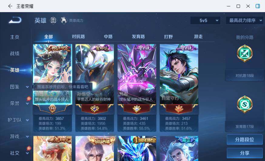大图