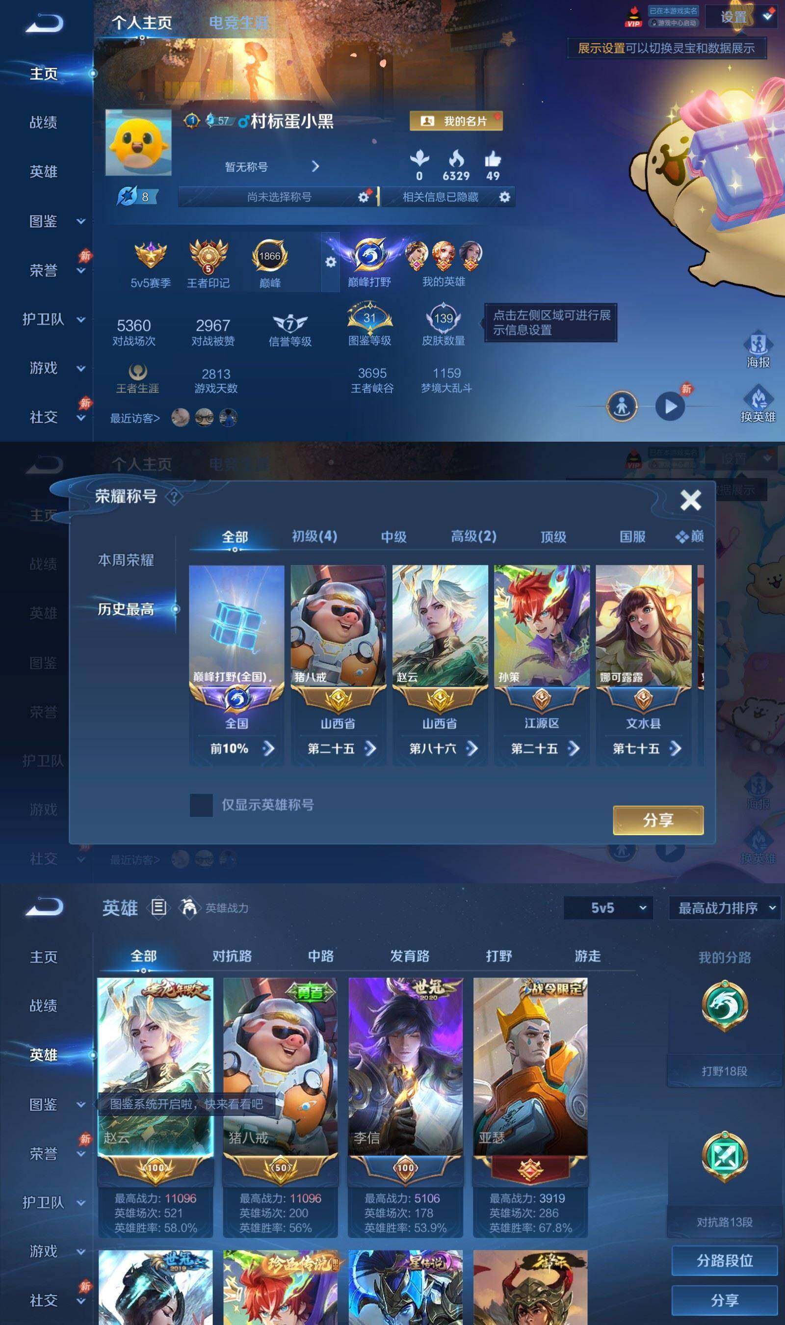WZPX4530225王者荣耀账号详情图2