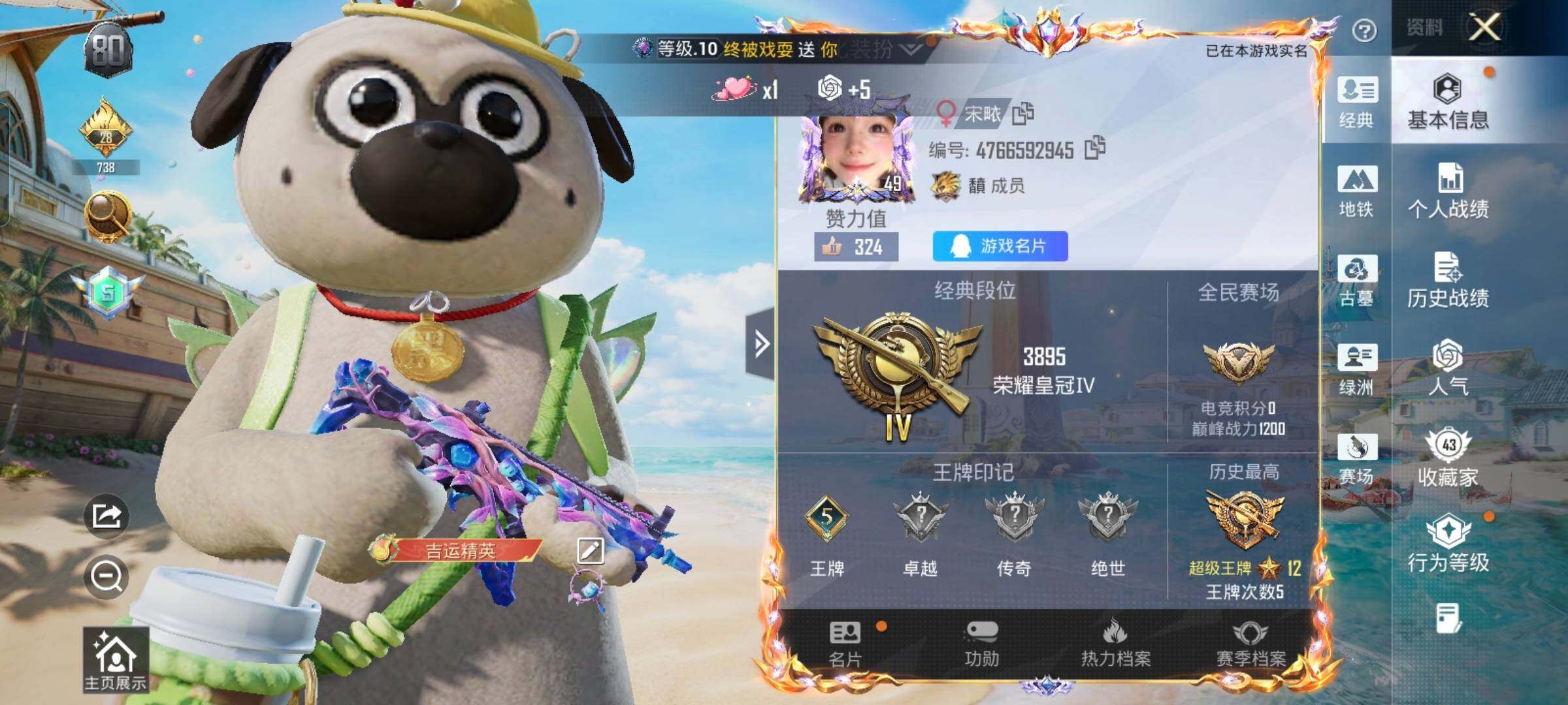 大图