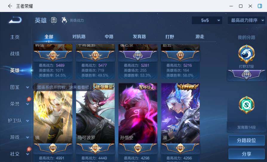 大图