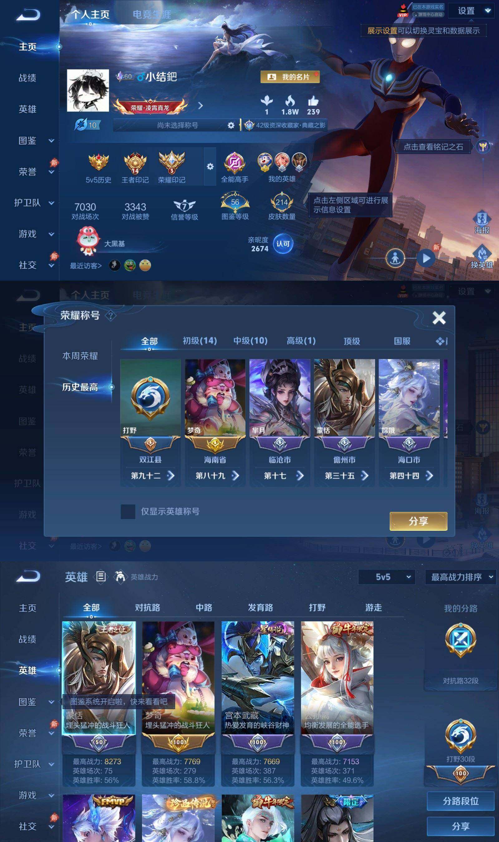 大图