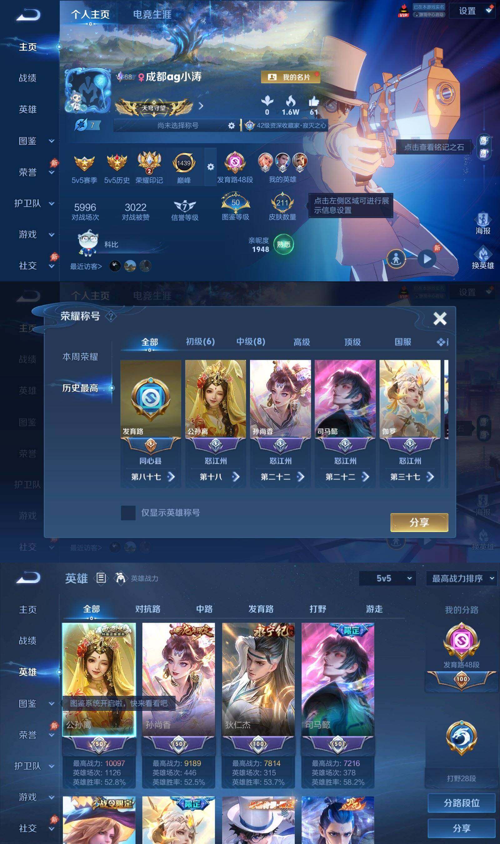 WZQM4545207王者荣耀账号详情图3 WZQM4545207王者荣耀账号详情图3