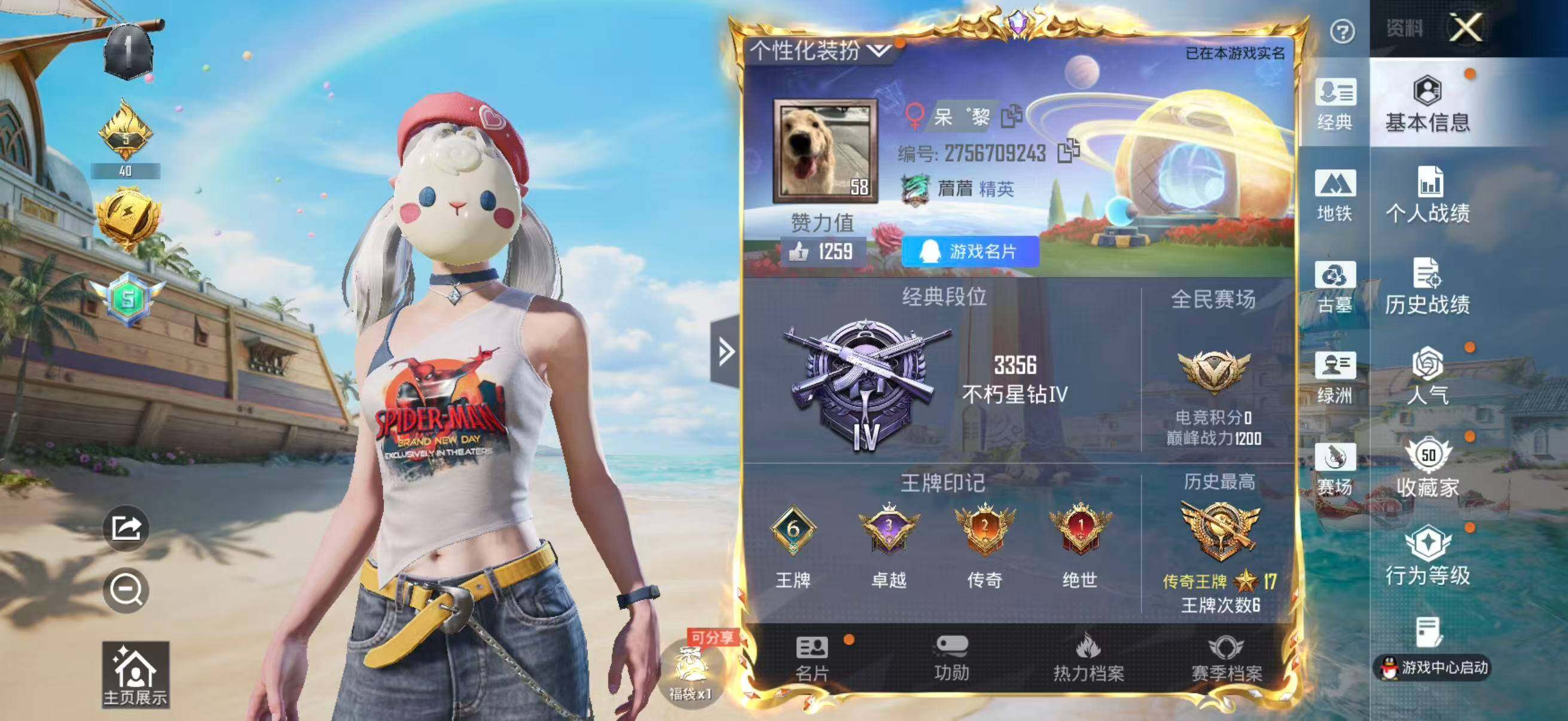 大图