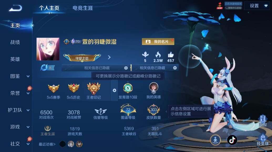 WZEY4553296王者荣耀账号详情图11