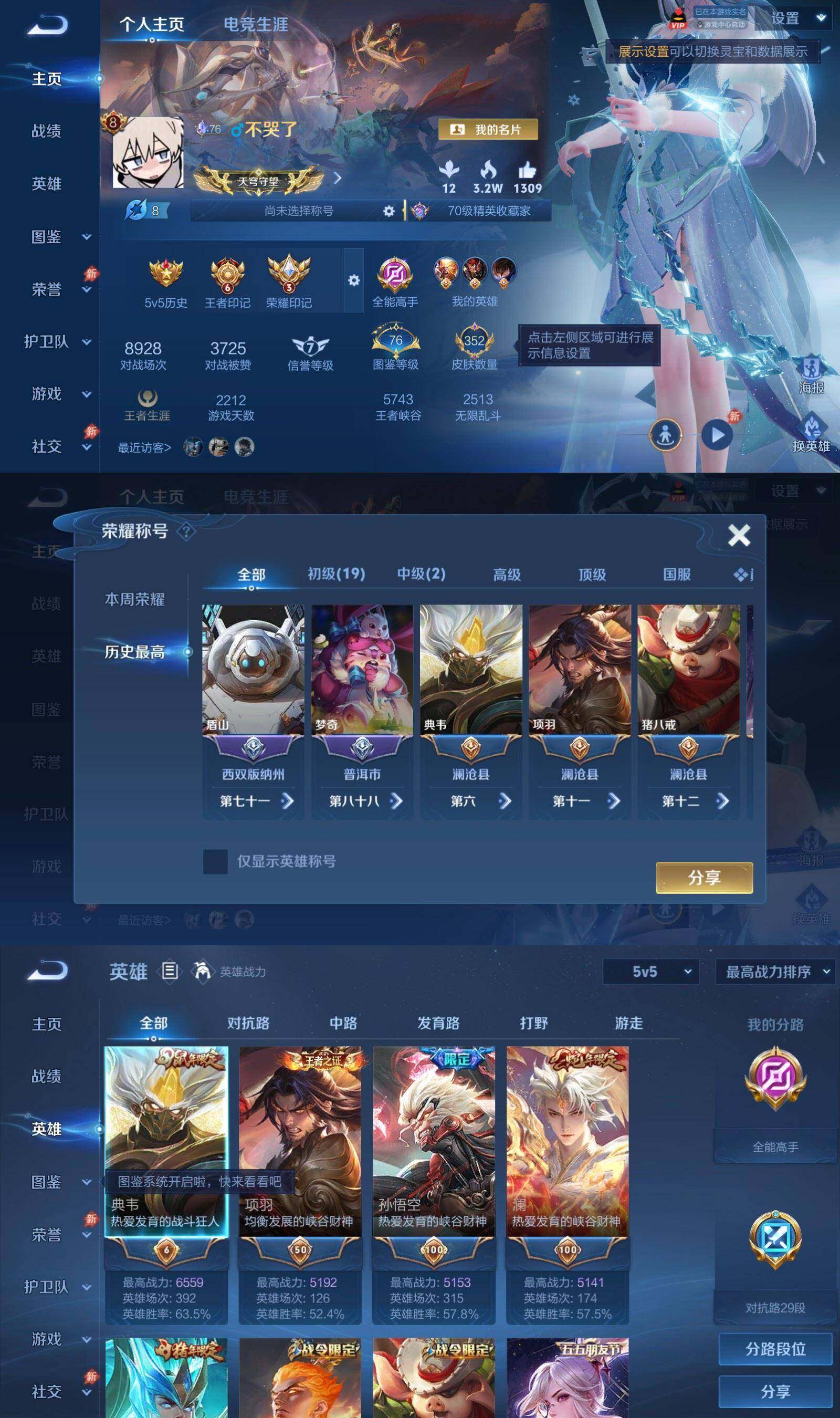 大图