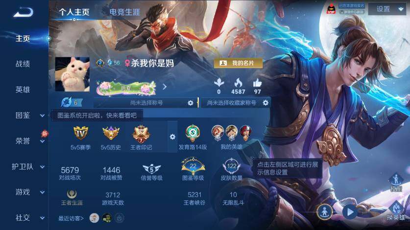 WZLX4556973王者荣耀账号详情图5