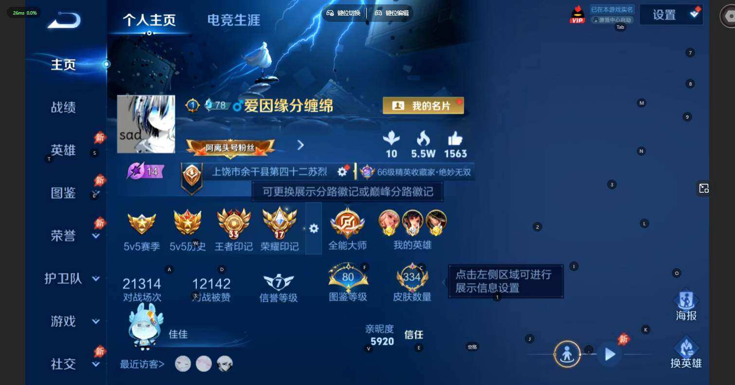 WZLE4559340王者荣耀账号详情图9