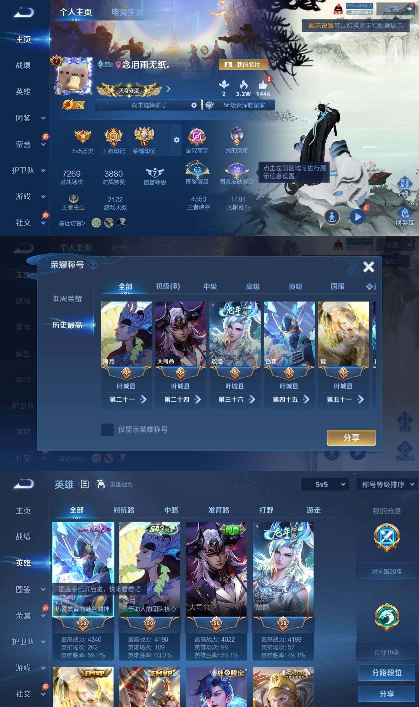 大图