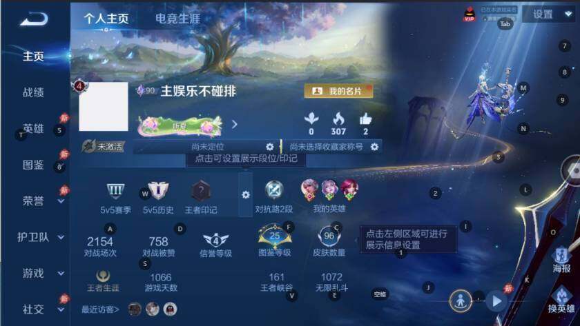 WZLX4559289王者荣耀账号详情图4