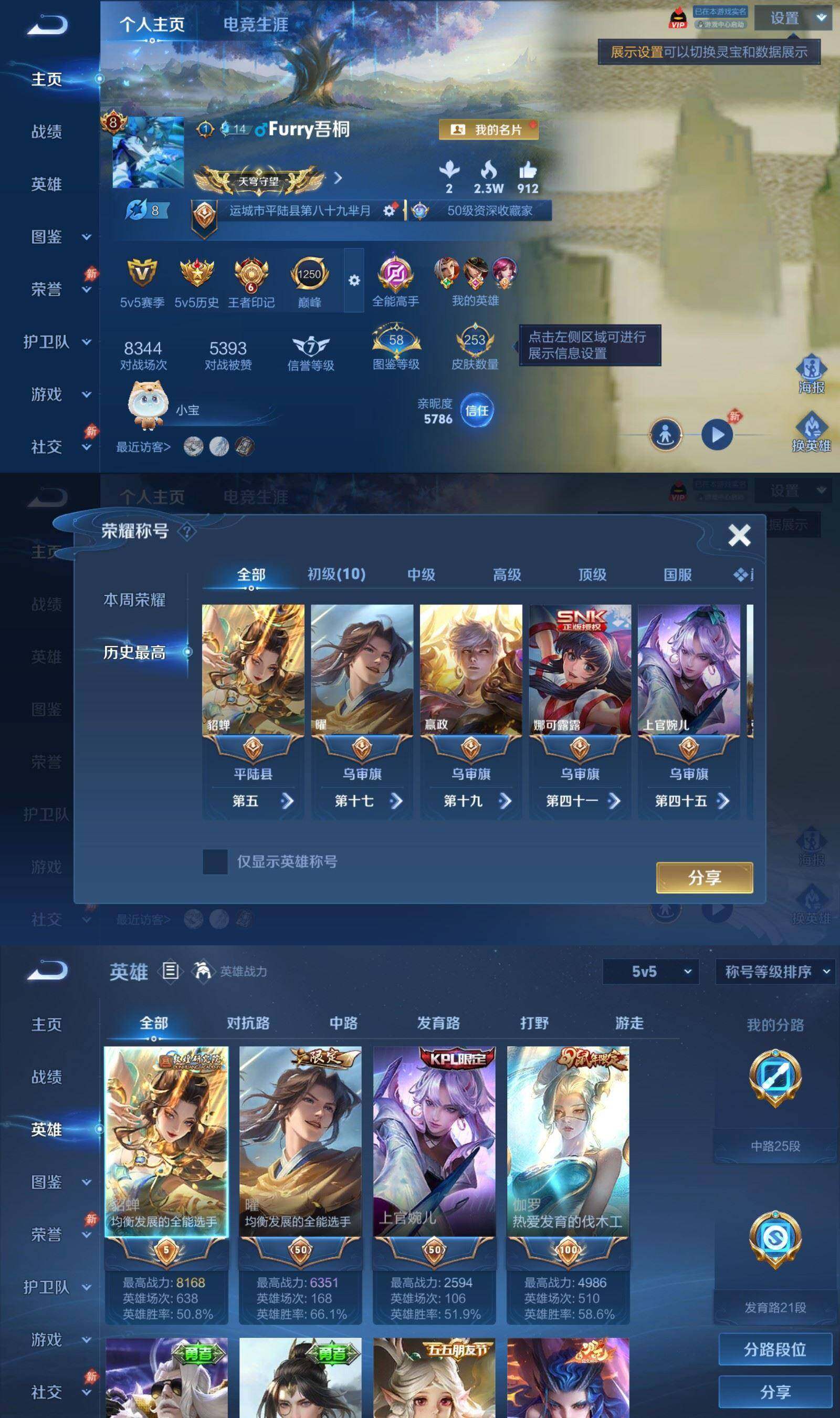 WZQM4561463王者荣耀账号详情图3