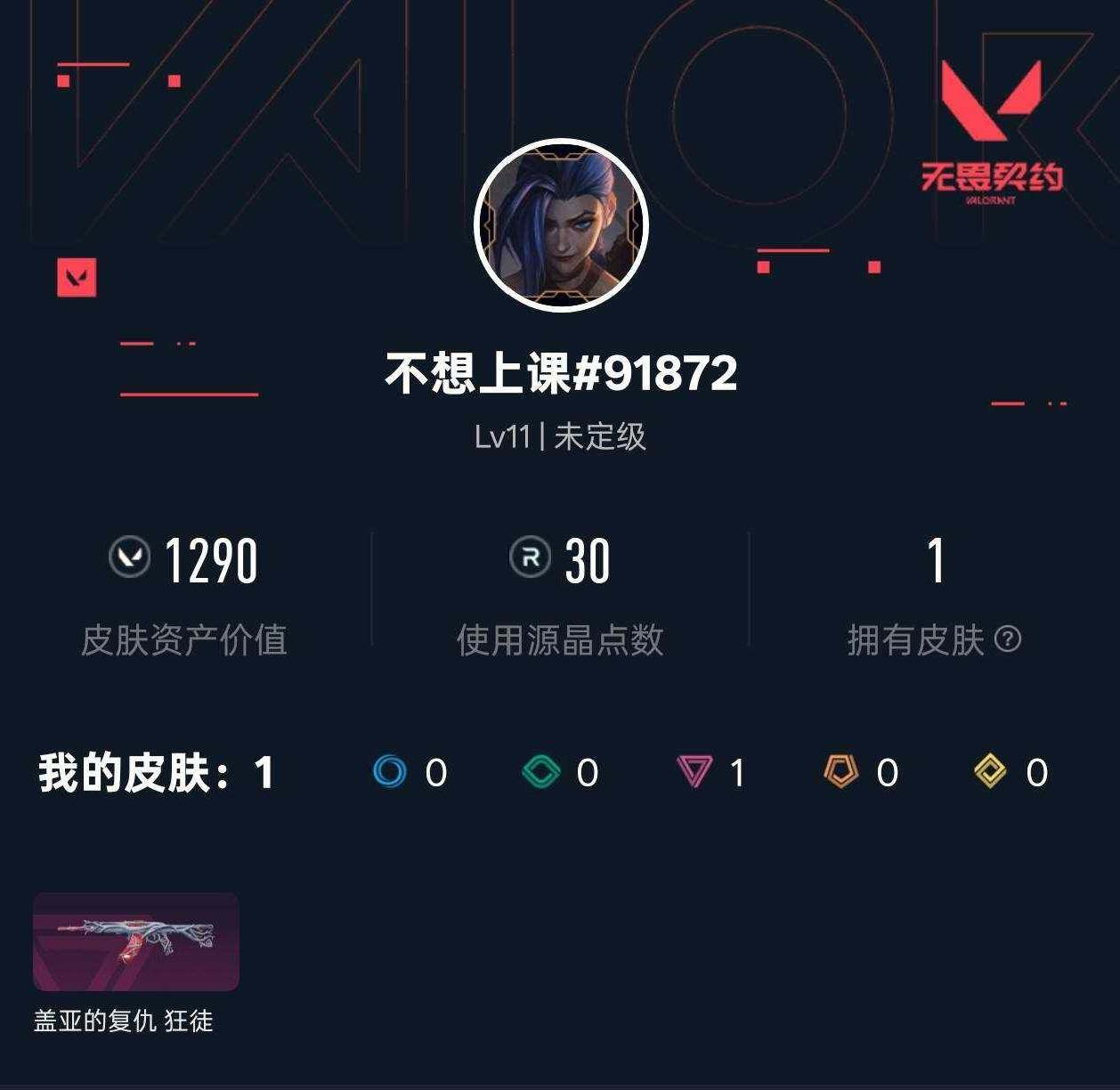 WWQXL489178无畏契约账号详情图3