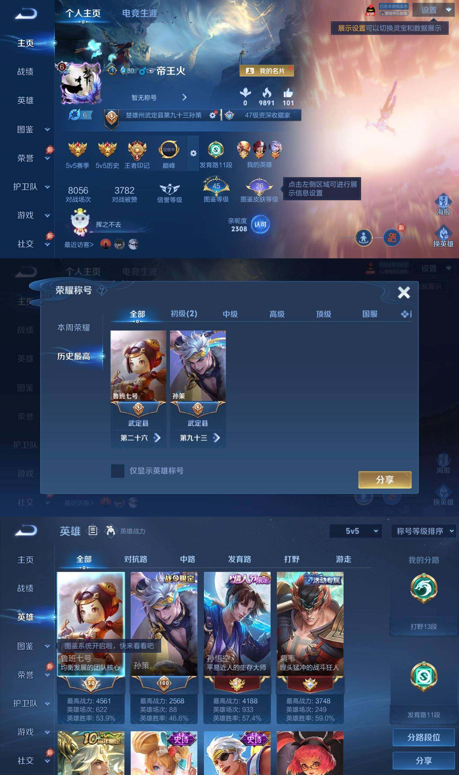 大图