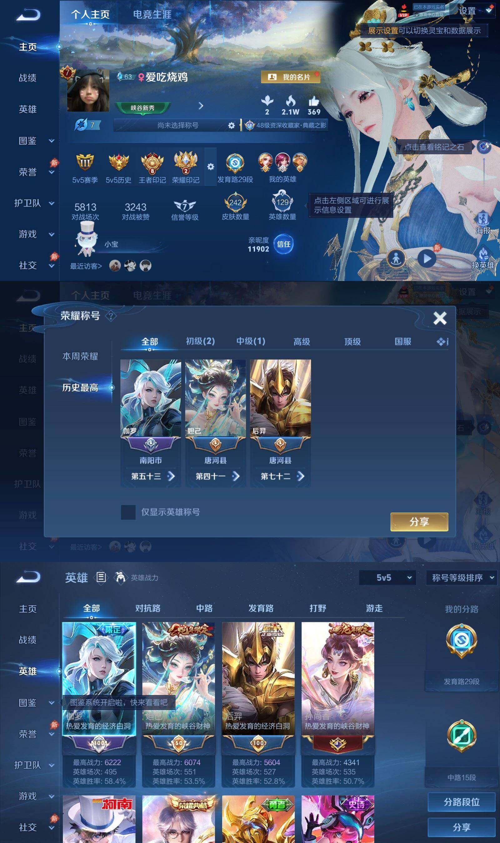 WZQM4602949王者荣耀账号详情图3 WZQM4602949王者荣耀账号详情图3