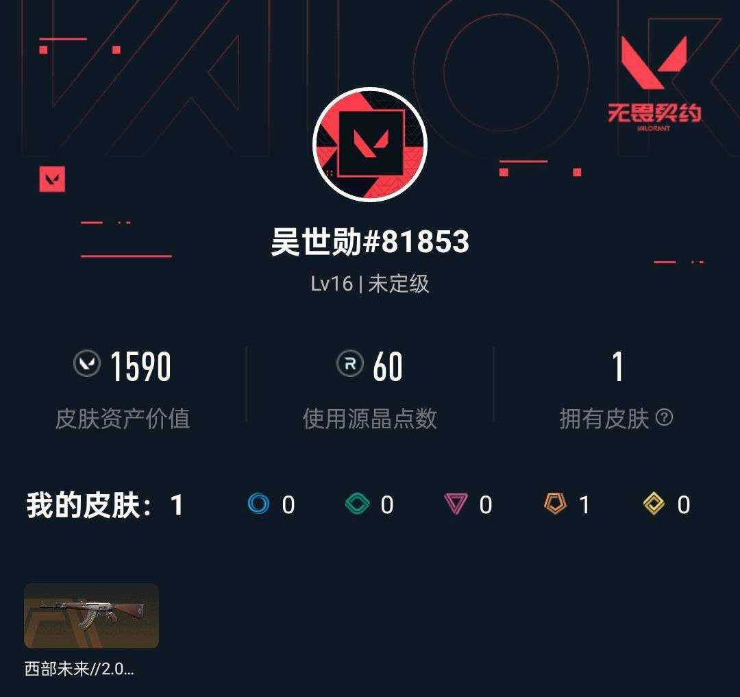 WWQXL4104899无畏契约账号详情图3 WWQXL4104899无畏契约账号详情图3