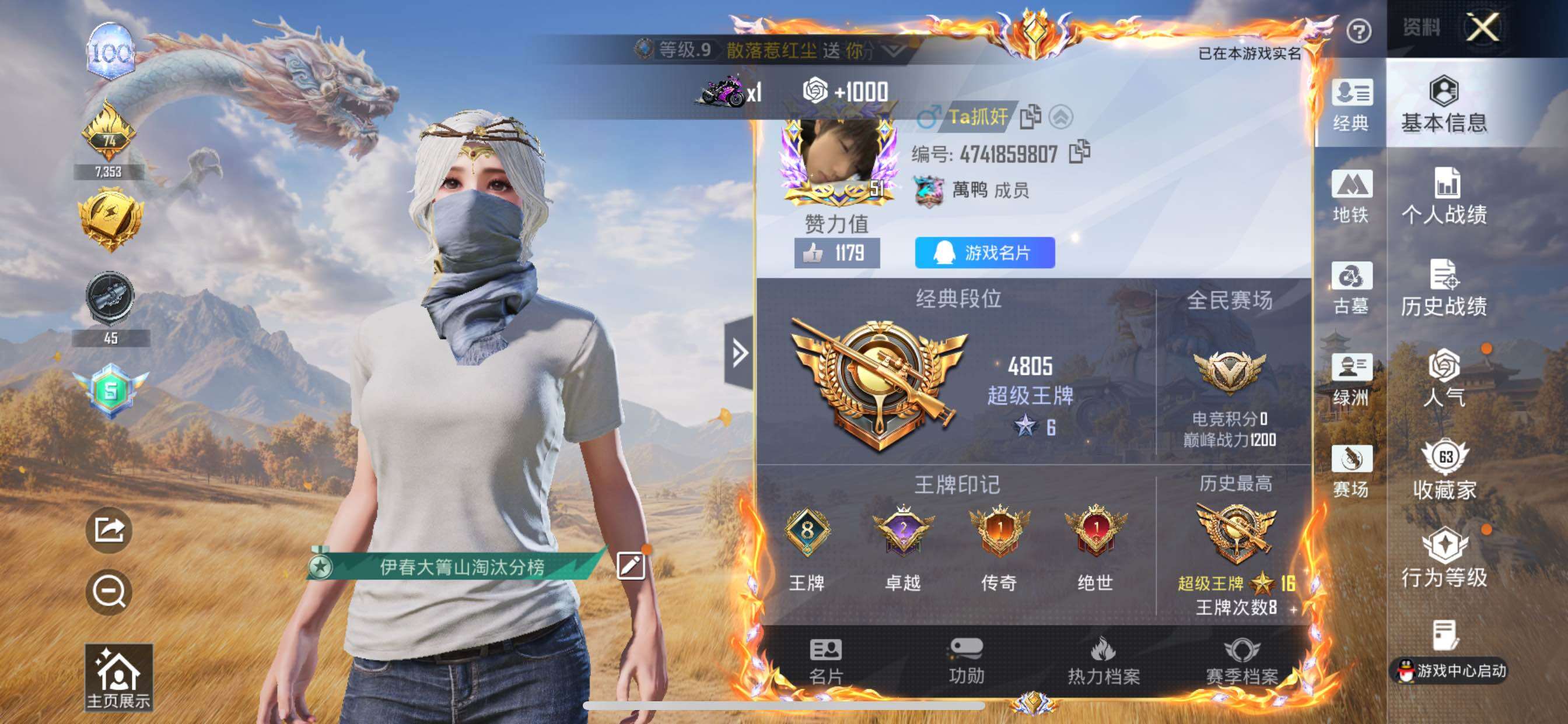 大图