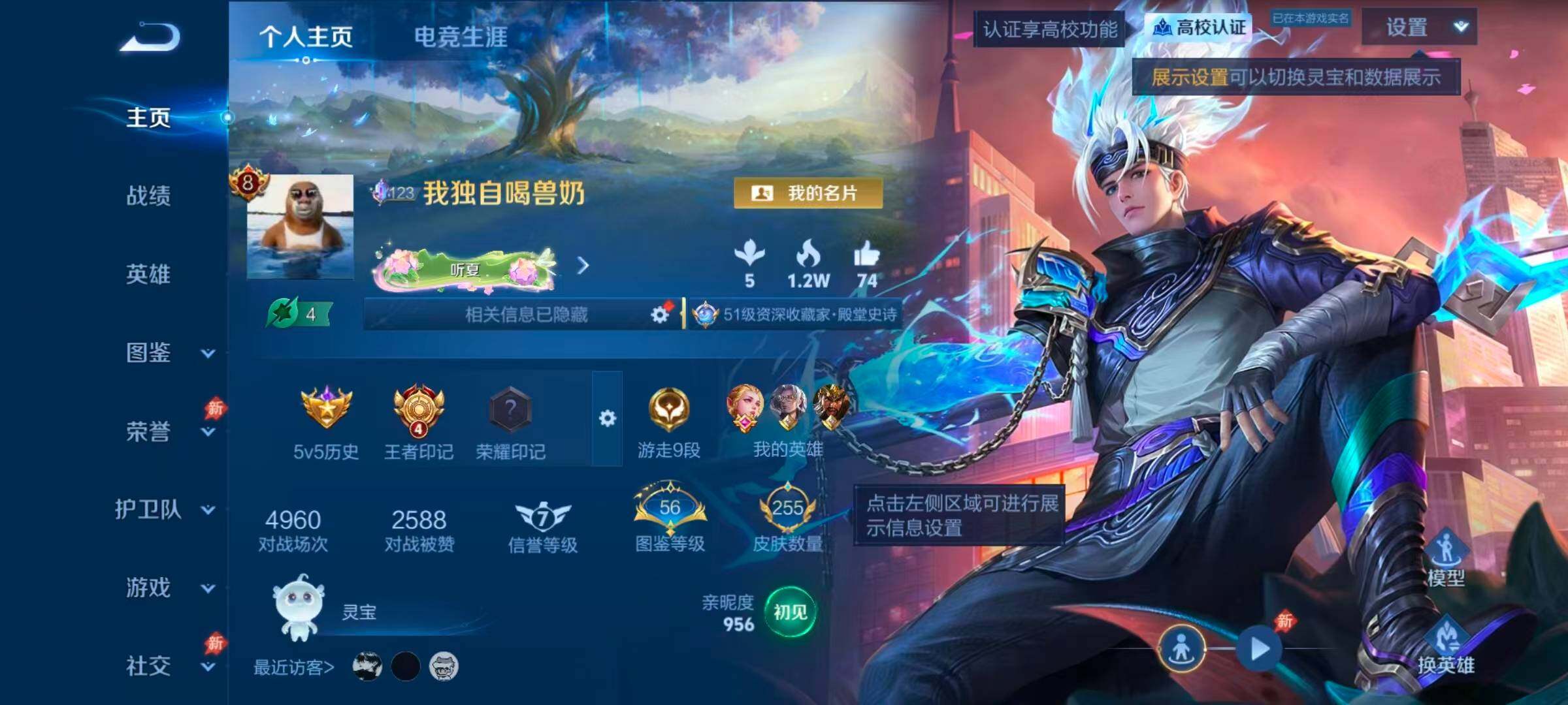 WZQM4648136王者荣耀账号详情图3 WZQM4648136王者荣耀账号详情图3
