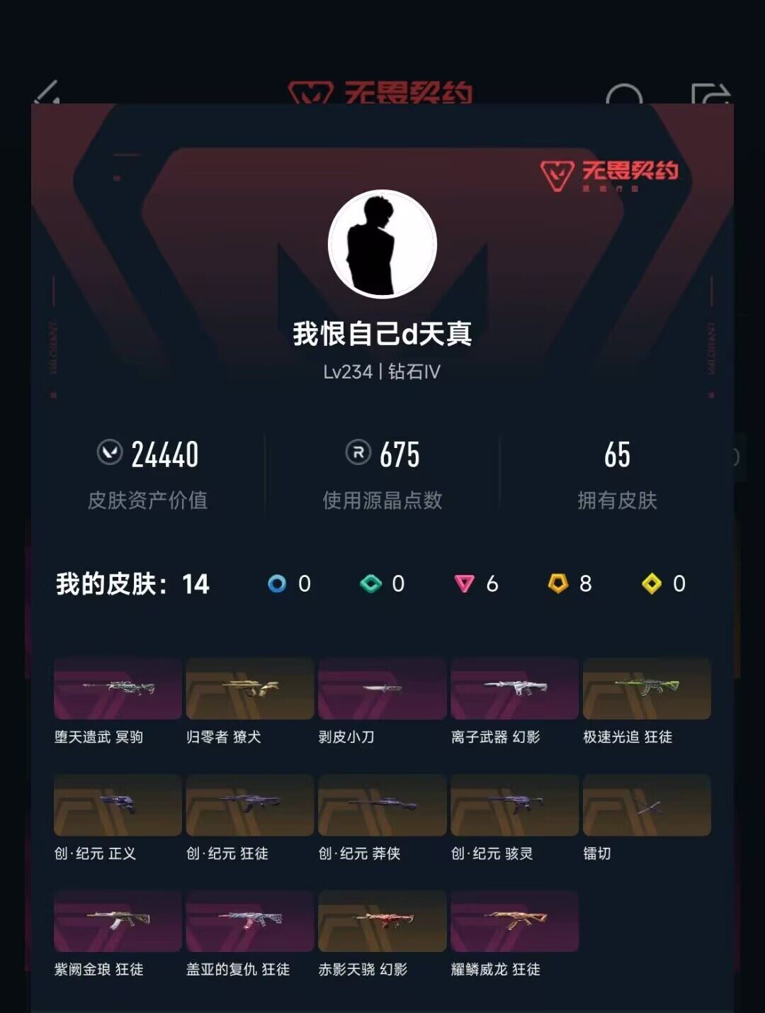 WWSMMN44417无畏契约手游账号详情图5