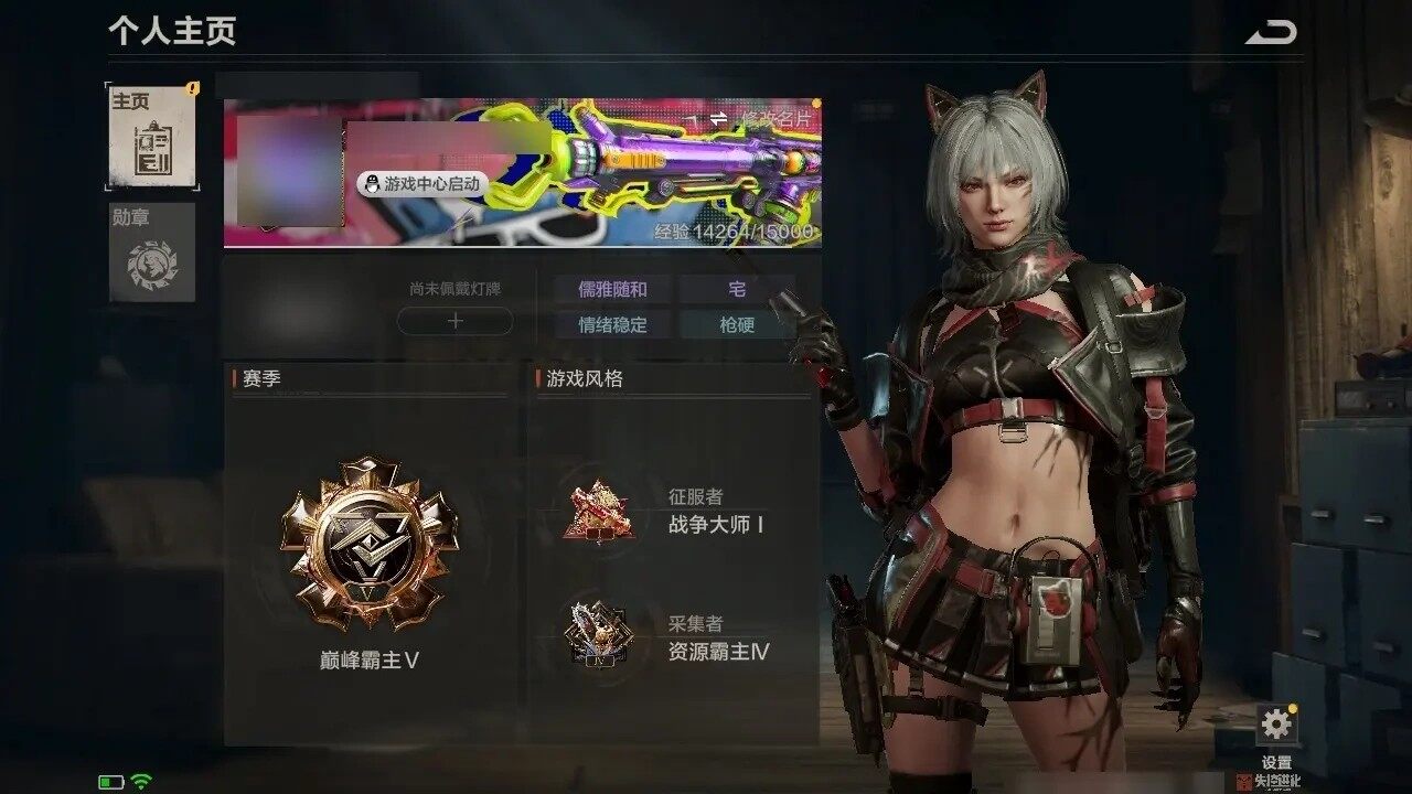 DD2462/Q区/等级95，武器53（金...