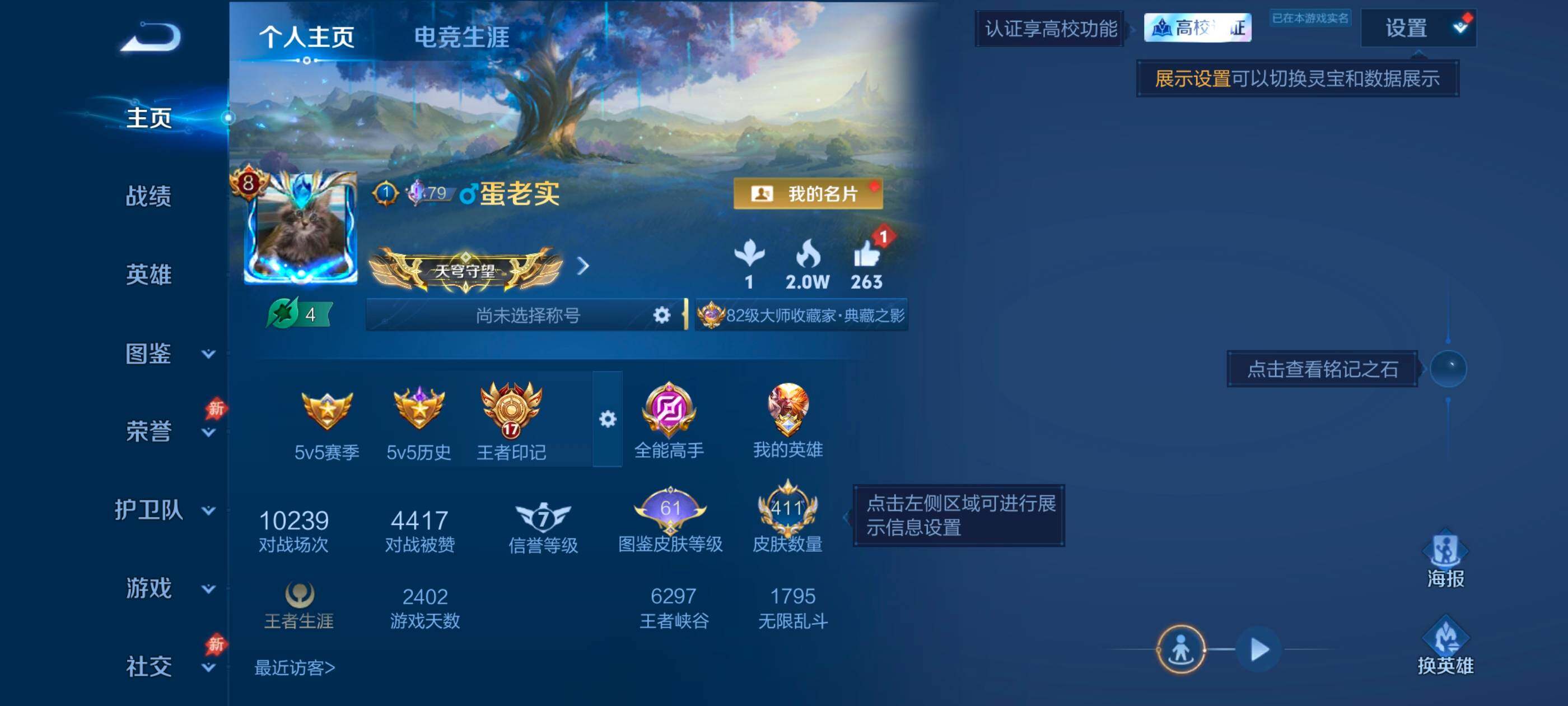 WZMMN4643923王者荣耀账号详情图10