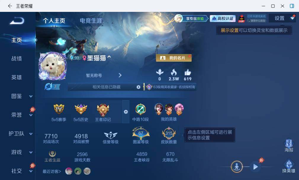 WZLX4700455王者荣耀账号详情图8 WZLX4700455王者荣耀账号详情图8