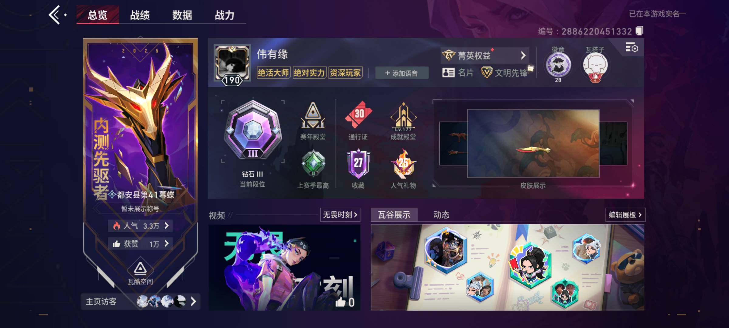 大图