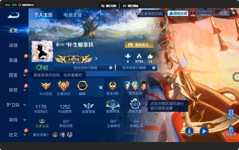 WZQM4670108王者荣耀账号详情图5