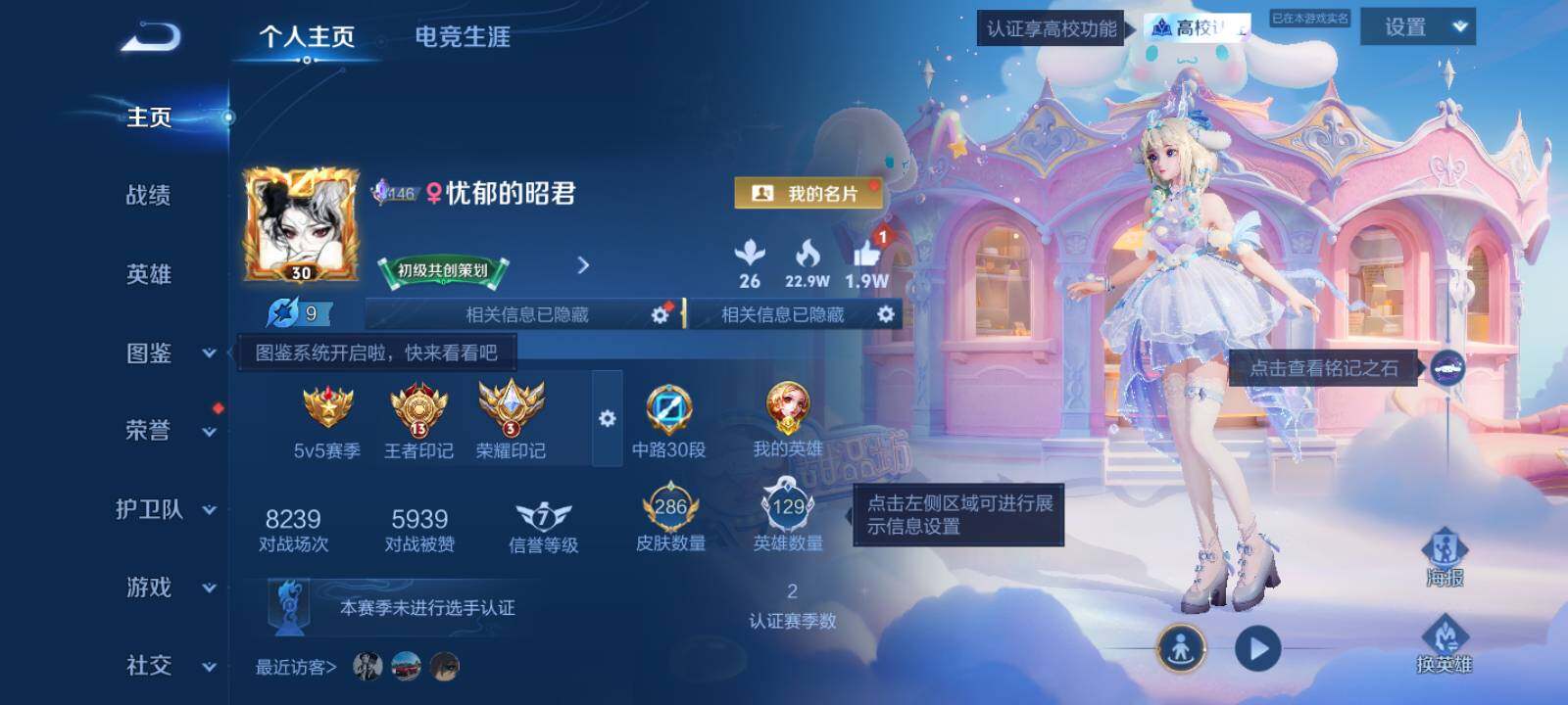 WZMMN4680882王者荣耀账号详情图7 WZMMN4680882王者荣耀账号详情图7