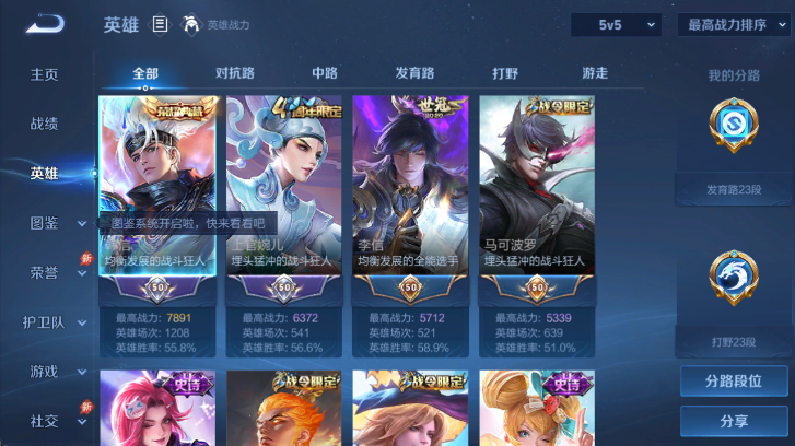 大图