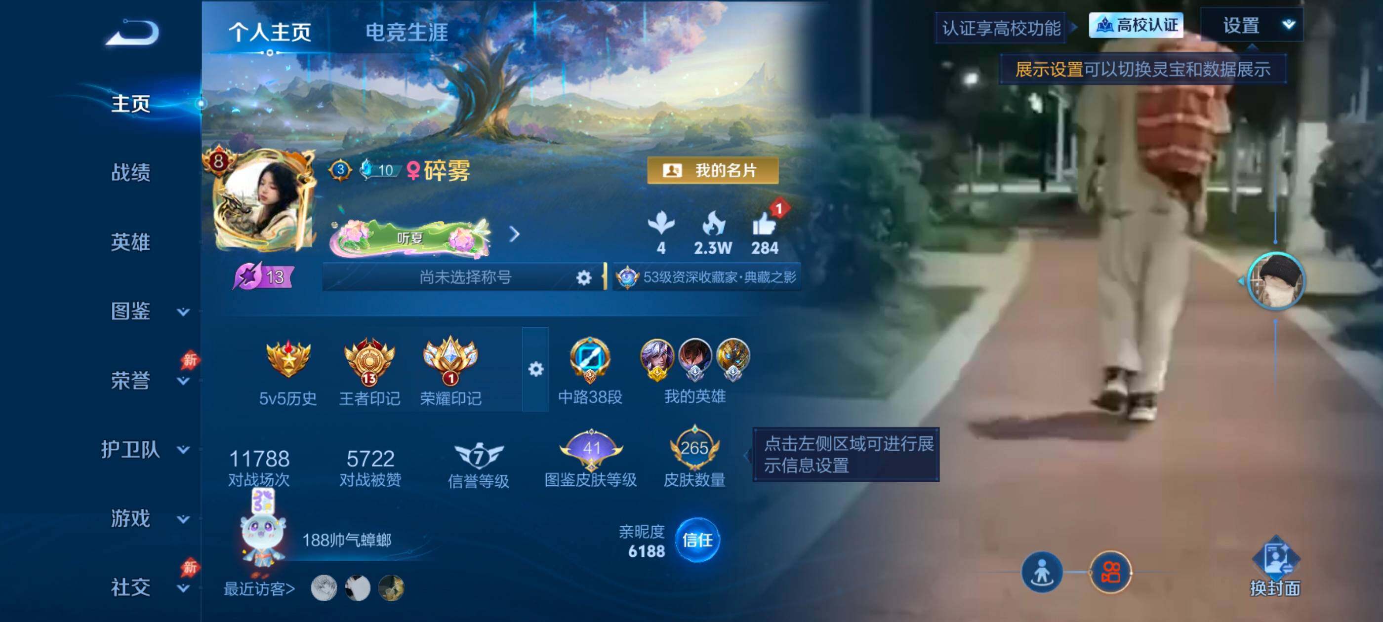 WZMMN4755423王者荣耀账号详情图8 WZMMN4755423王者荣耀账号详情图8