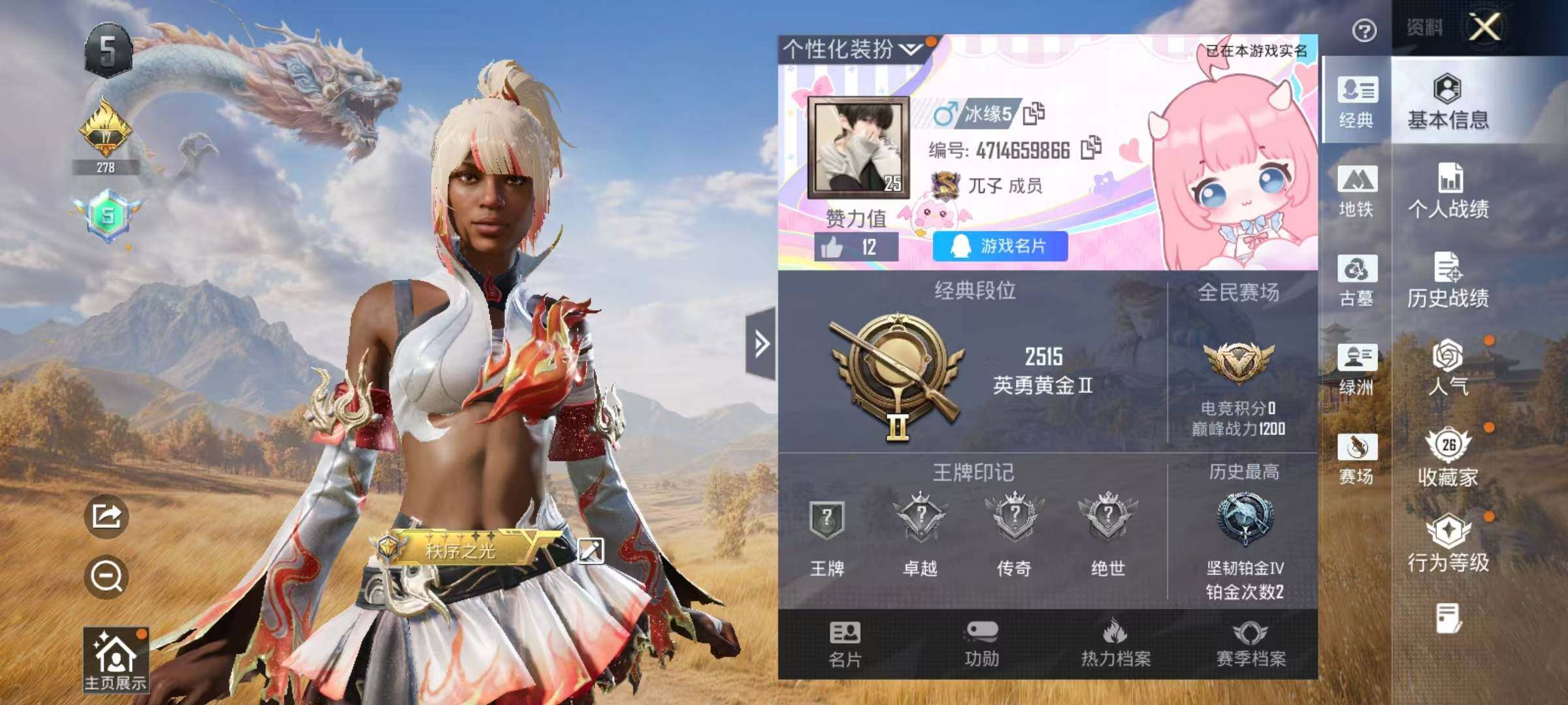 HPEY4395864和平精英账号详情图3