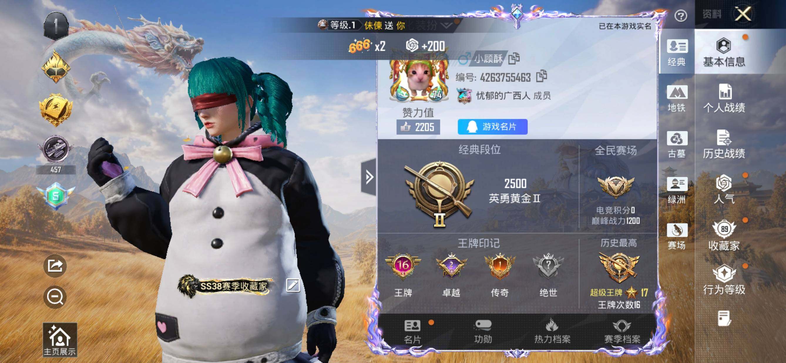 账号详情图片