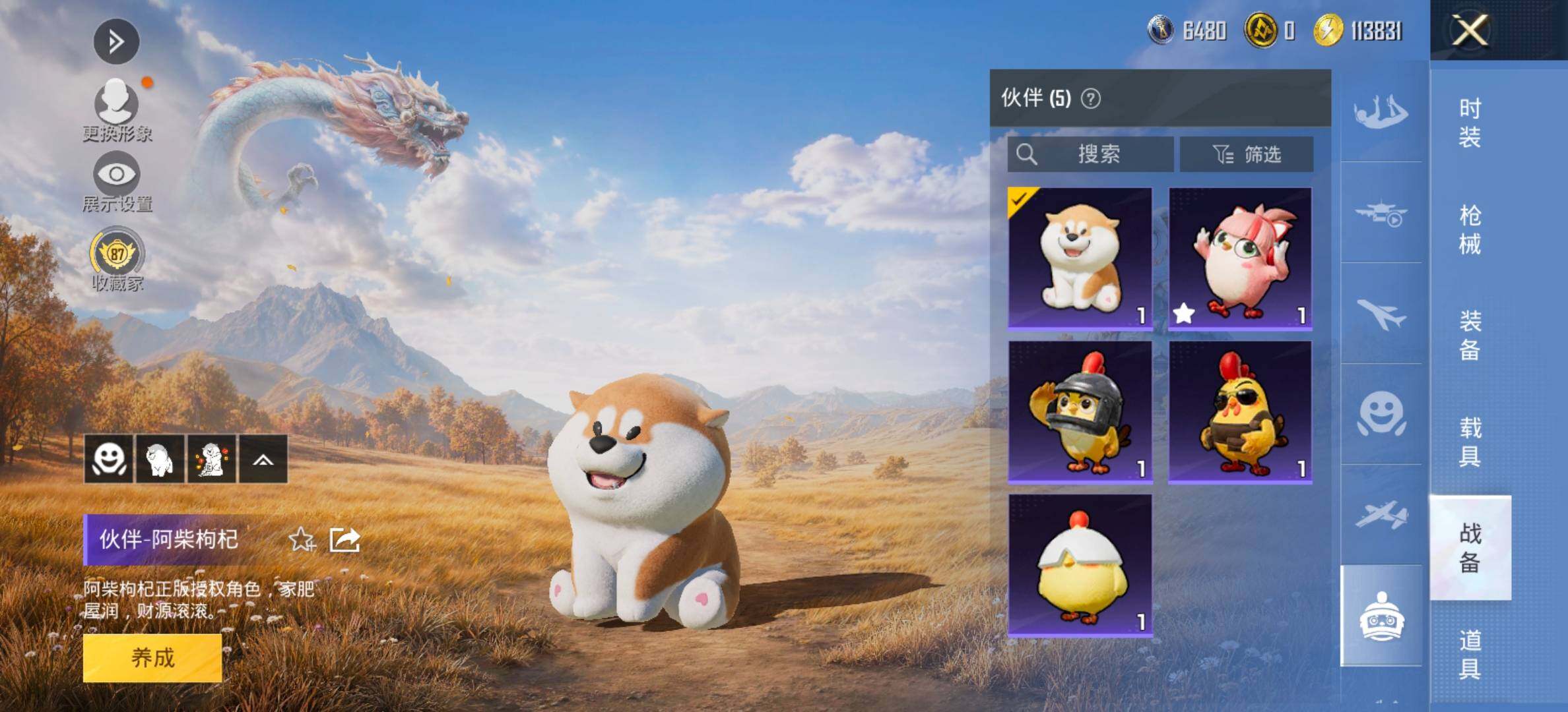 账号详情图片