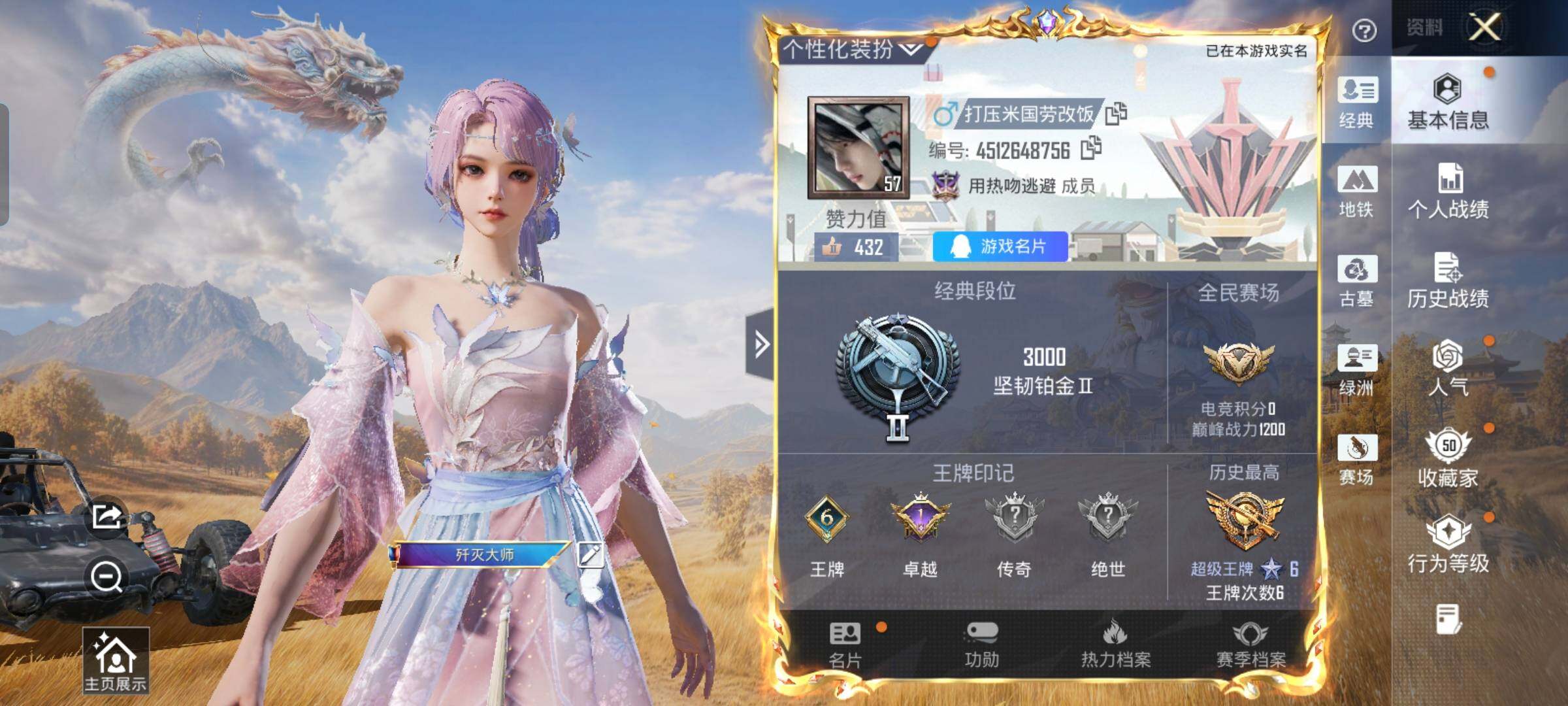 账号详情图片