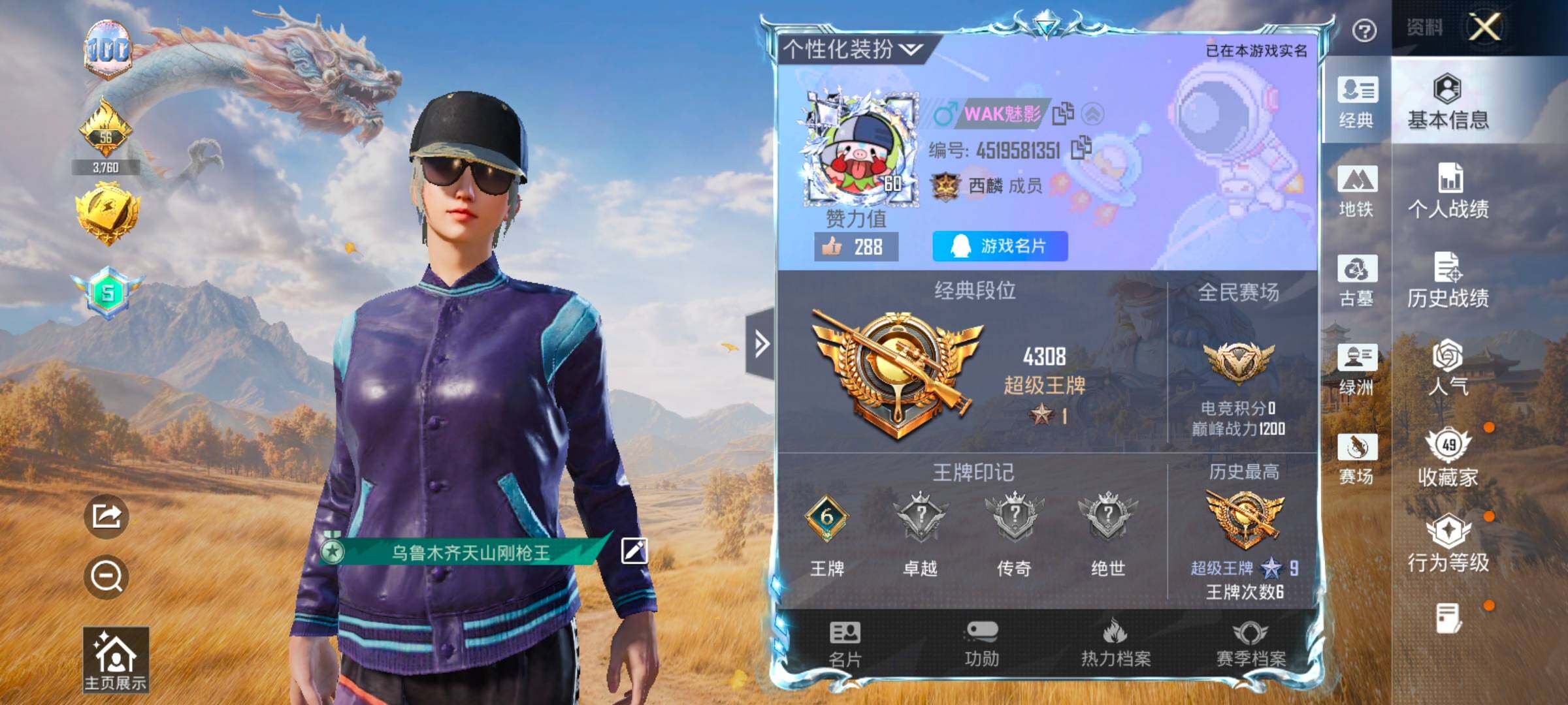 账号详情图片