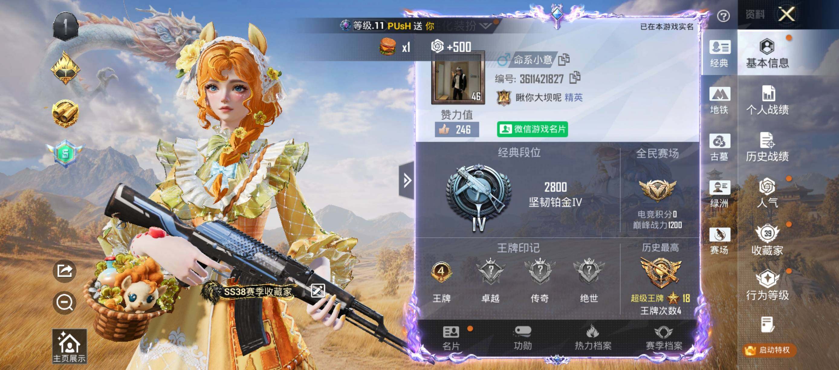 账号详情图片