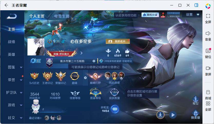 WZMMN4741900王者荣耀账号详情图5 WZMMN4741900王者荣耀账号详情图5