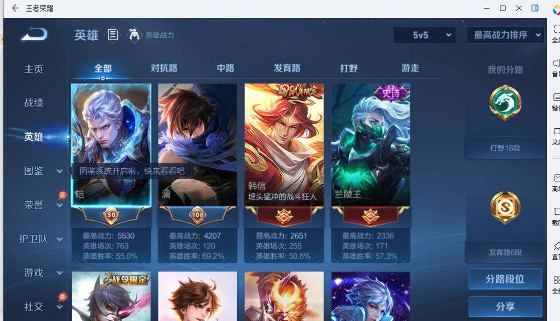 大图