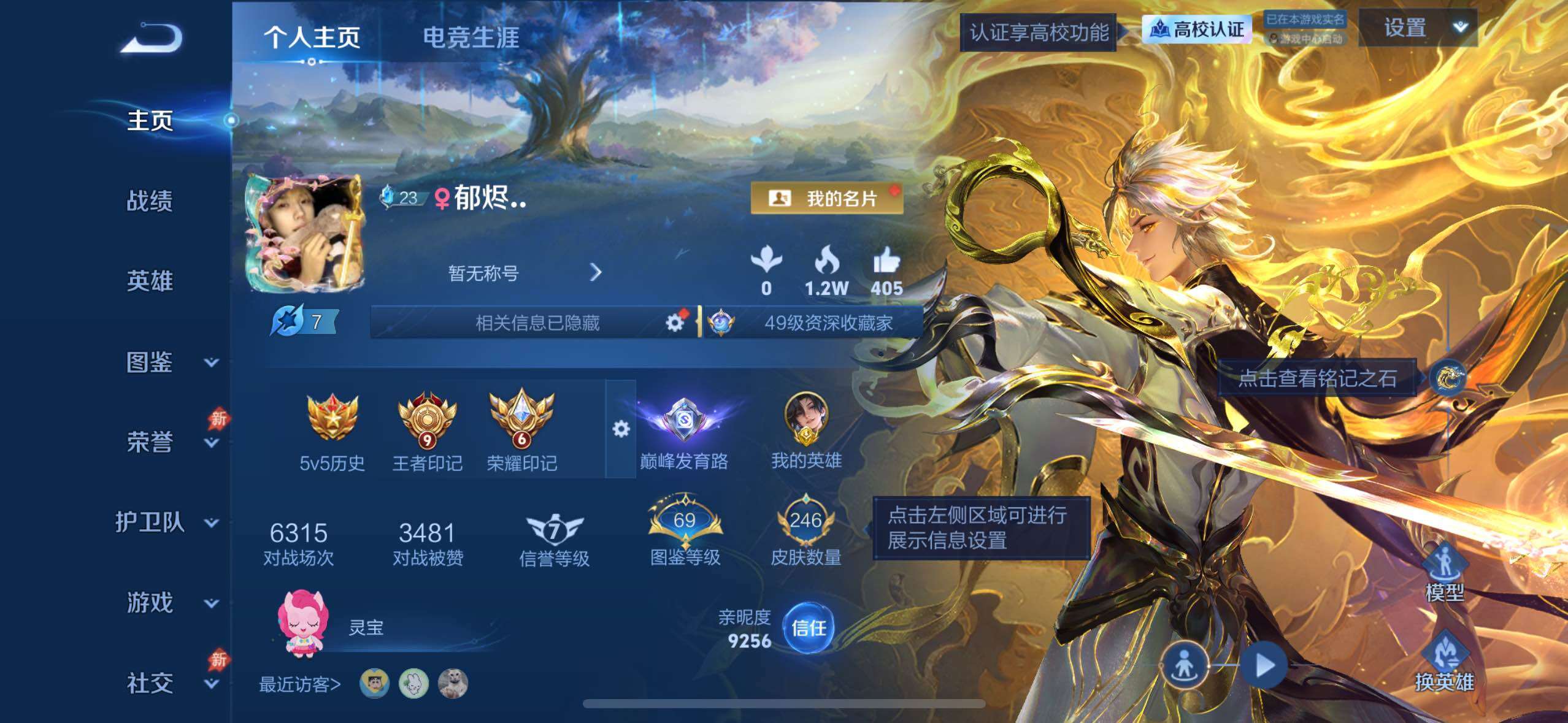 王者荣耀账号苹果QQ精品V8苹果QV8永恒钻石III段位131英雄246皮肤2典藏皮肤2无双1珍品传说22传说99史诗
