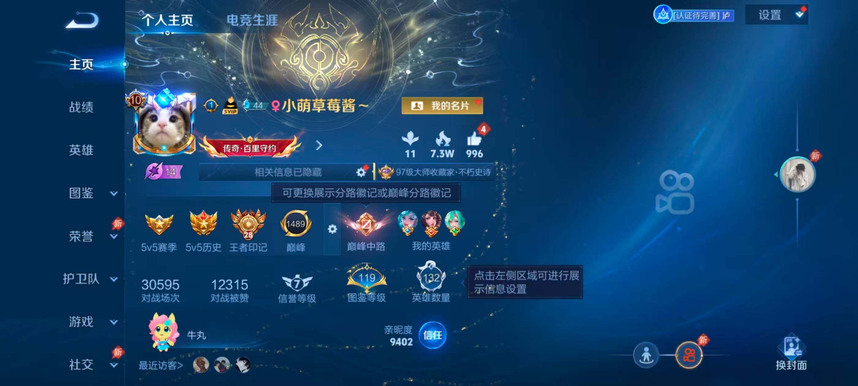 WZMMN4761409王者荣耀账号详情图11 WZMMN4761409王者荣耀账号详情图11