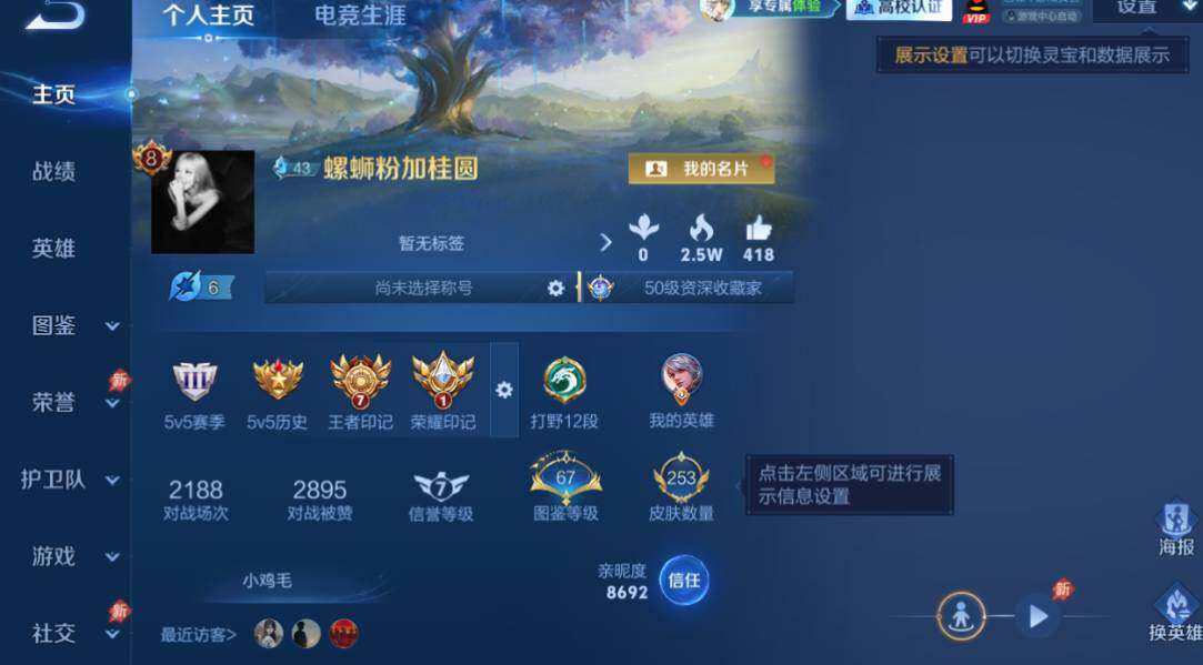 WZMMN4762805王者荣耀账号详情图8 WZMMN4762805王者荣耀账号详情图8