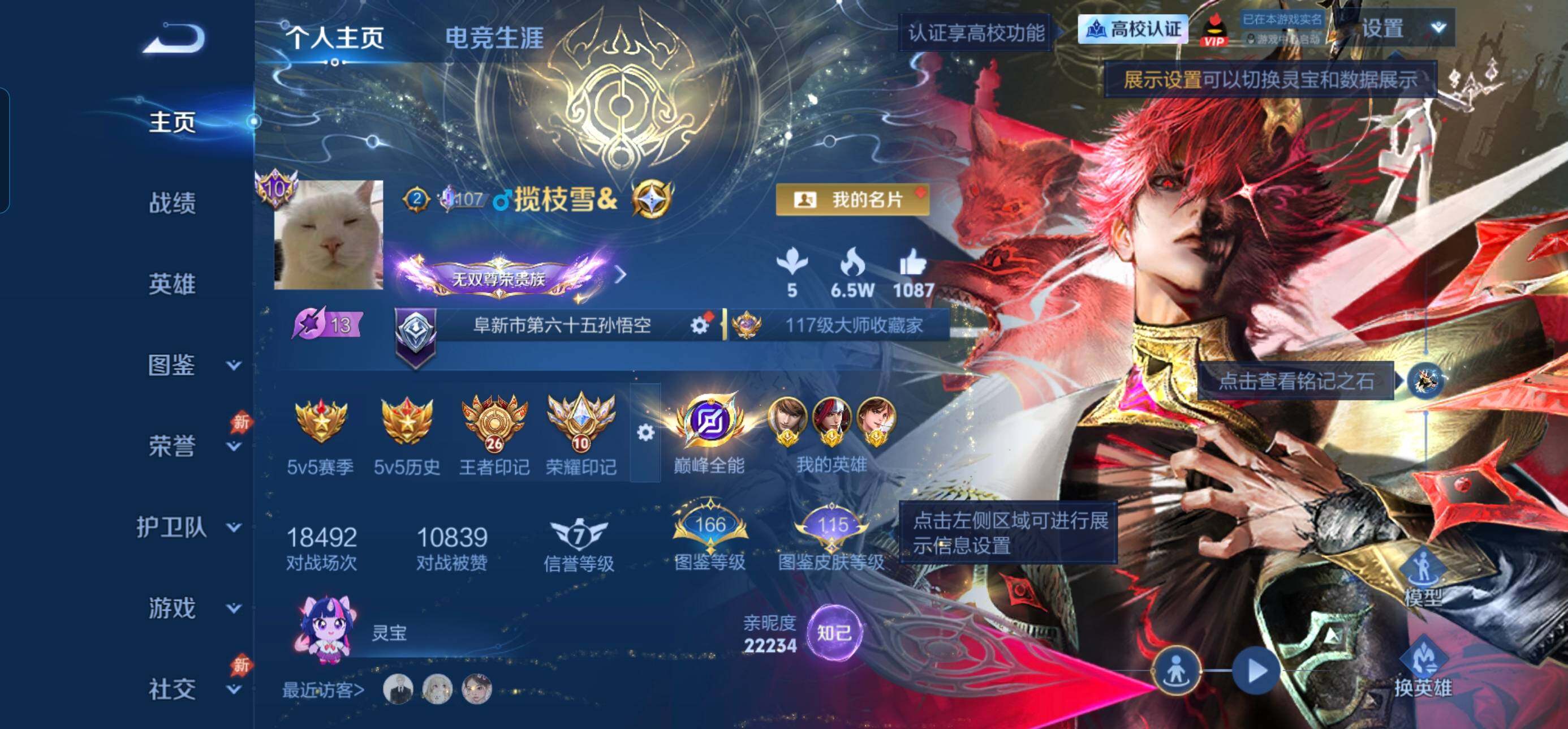 王者荣耀账号安卓QQ可二次极品无双v10号 百星历史印记 26王者印记 10荣耀印记 打野50段 1.3w金标孙悟空 1
