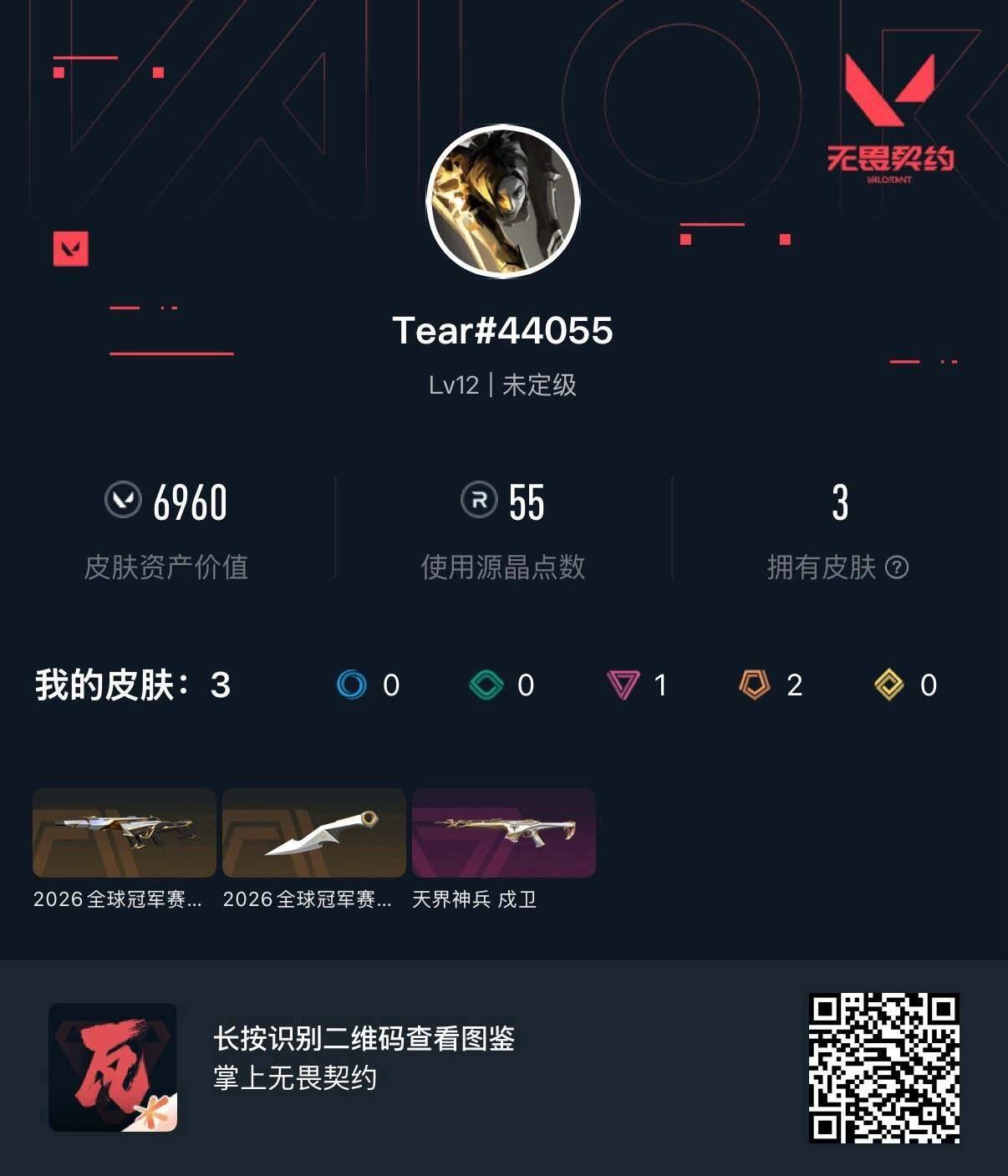 WWQLX4167860无畏契约账号详情图4