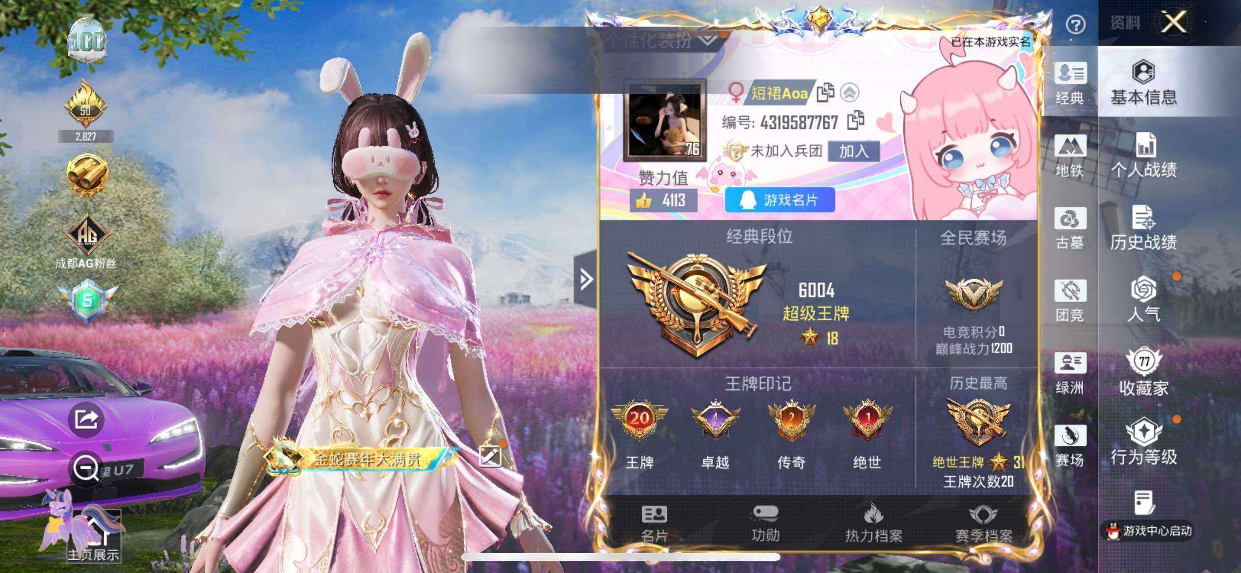 PX_2975017-仰望 国宝头 粉熊包】YXc48680-【可二次】【因赛季更新游戏段付以上号为准!】 苹果Q-4载具23粉装15特效枪22热门179套装239枪皮 20印记 历史绝世王牌31星 【4载具】 仰望U7先锋版(雷霆紫) (3级) 灵翼风驰(幻彩蓝) 琉璃灵狐 萌喵橘座 【23粉装】 甜包星光 甜包炫光 梦幻火箭 吾皇猫 满分应援 宝贝奶油派 天使彩虹糖 夜鸢箴