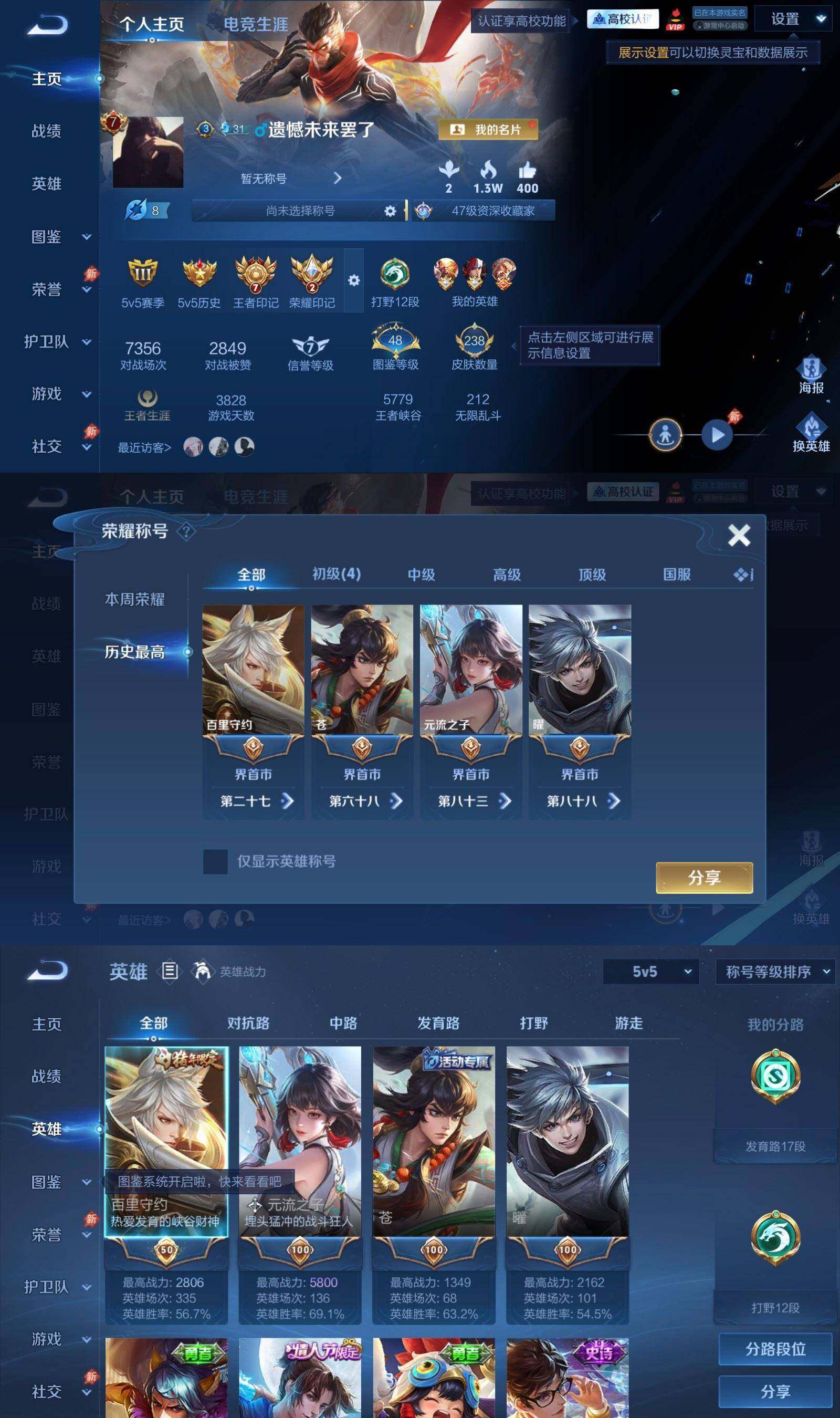 大图