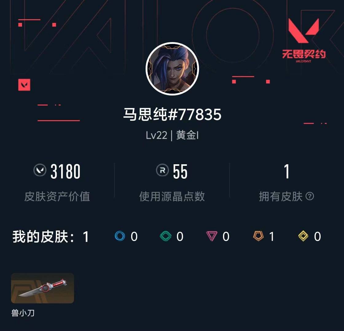 WWQXL4165543无畏契约账号详情图3 WWQXL4165543无畏契约账号详情图3
