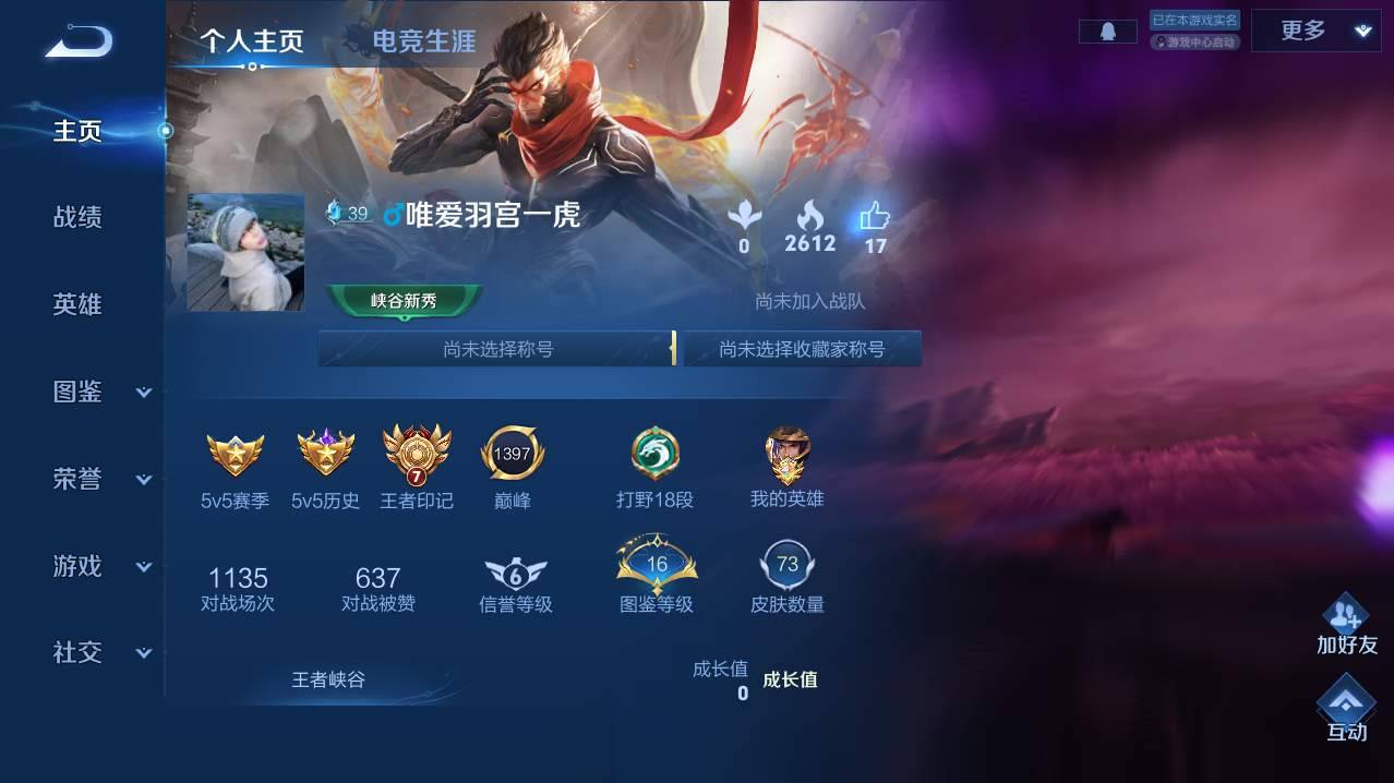 WZLE4797753王者荣耀账号详情图5 WZLE4797753王者荣耀账号详情图5