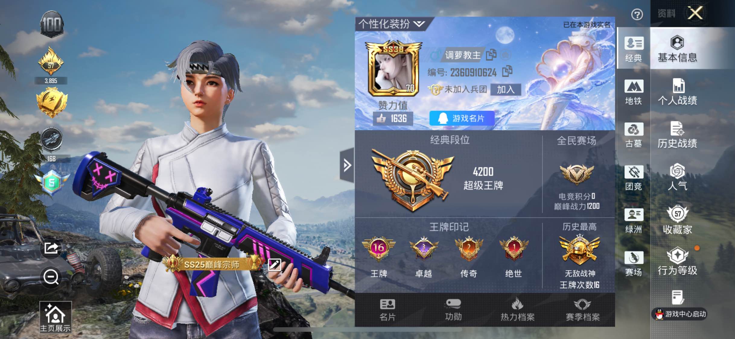 大图