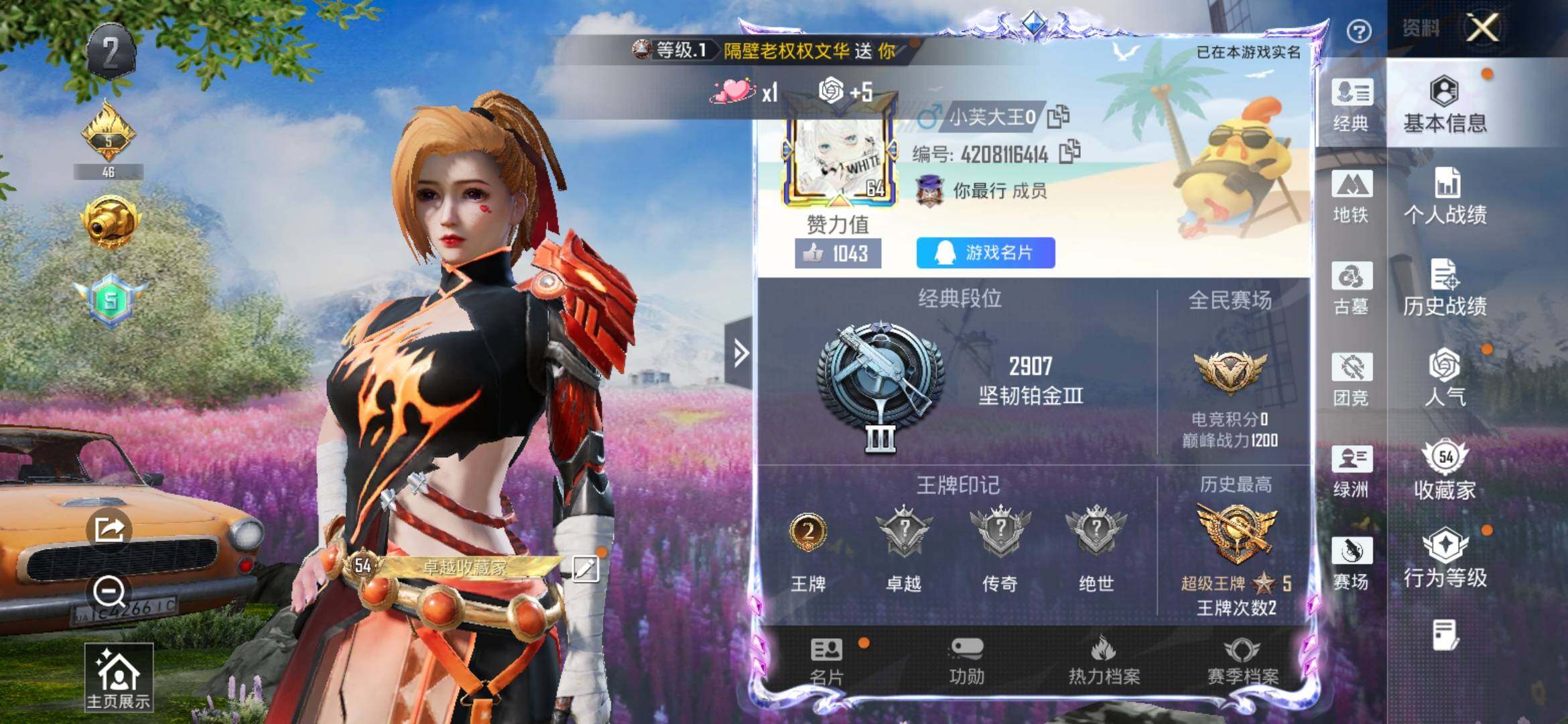 账号详情图片