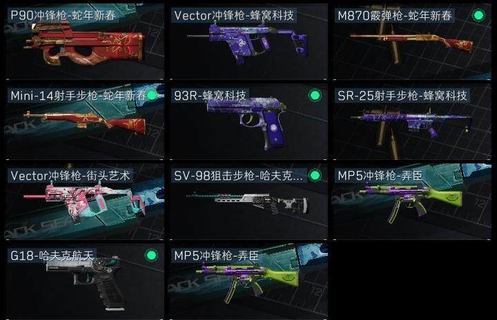SJZCMW313653三角洲行动账号详情图8 SJZCMW313653三角洲行动账号详情图8